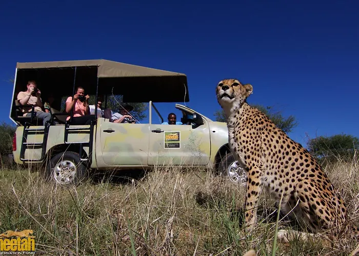 Cheetah View Lodge